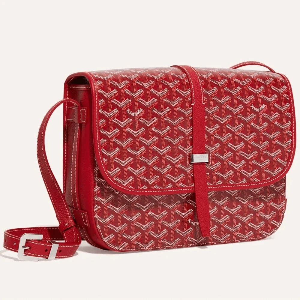 Goyard Belvedere MM Bag 3