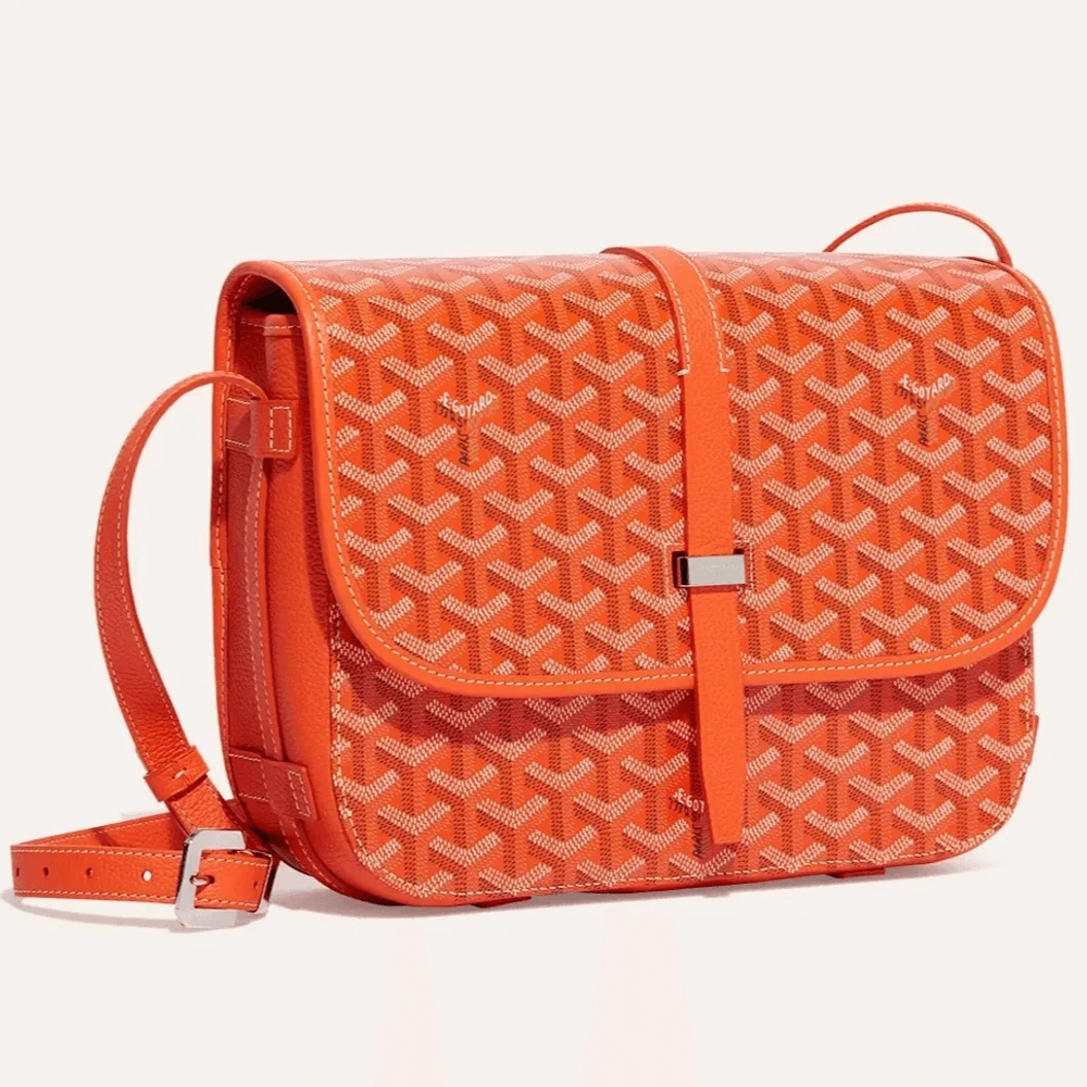 Goyard Belvedere MM Bag 4