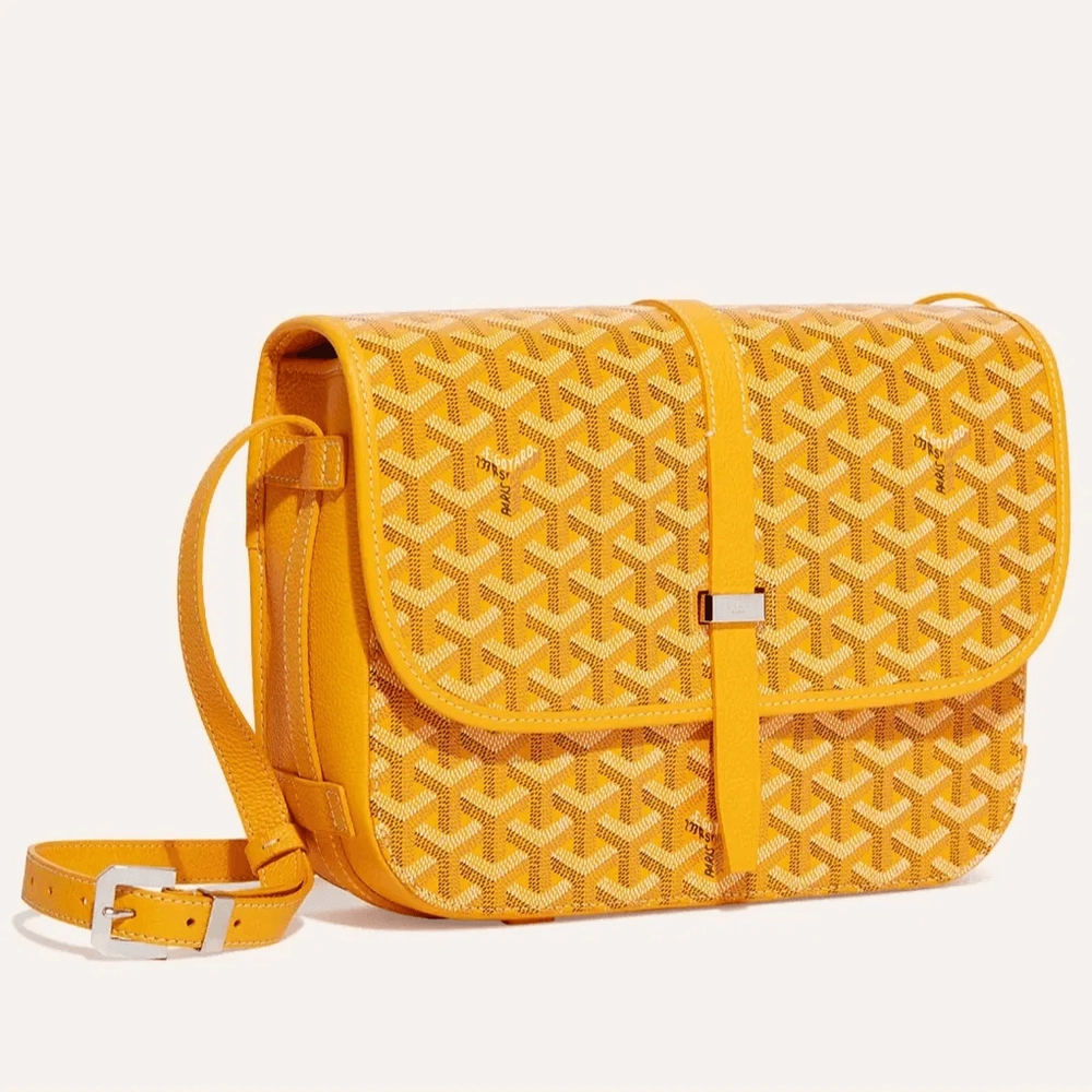Goyard Belvedere MM Bag 5