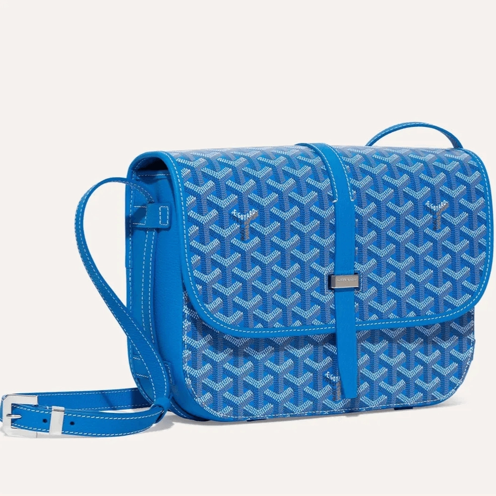 Goyard Belvedere MM Bag 7