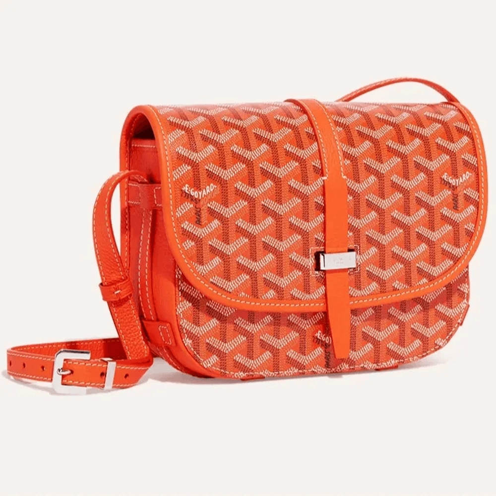 Goyard Belvedere PM Bag 4