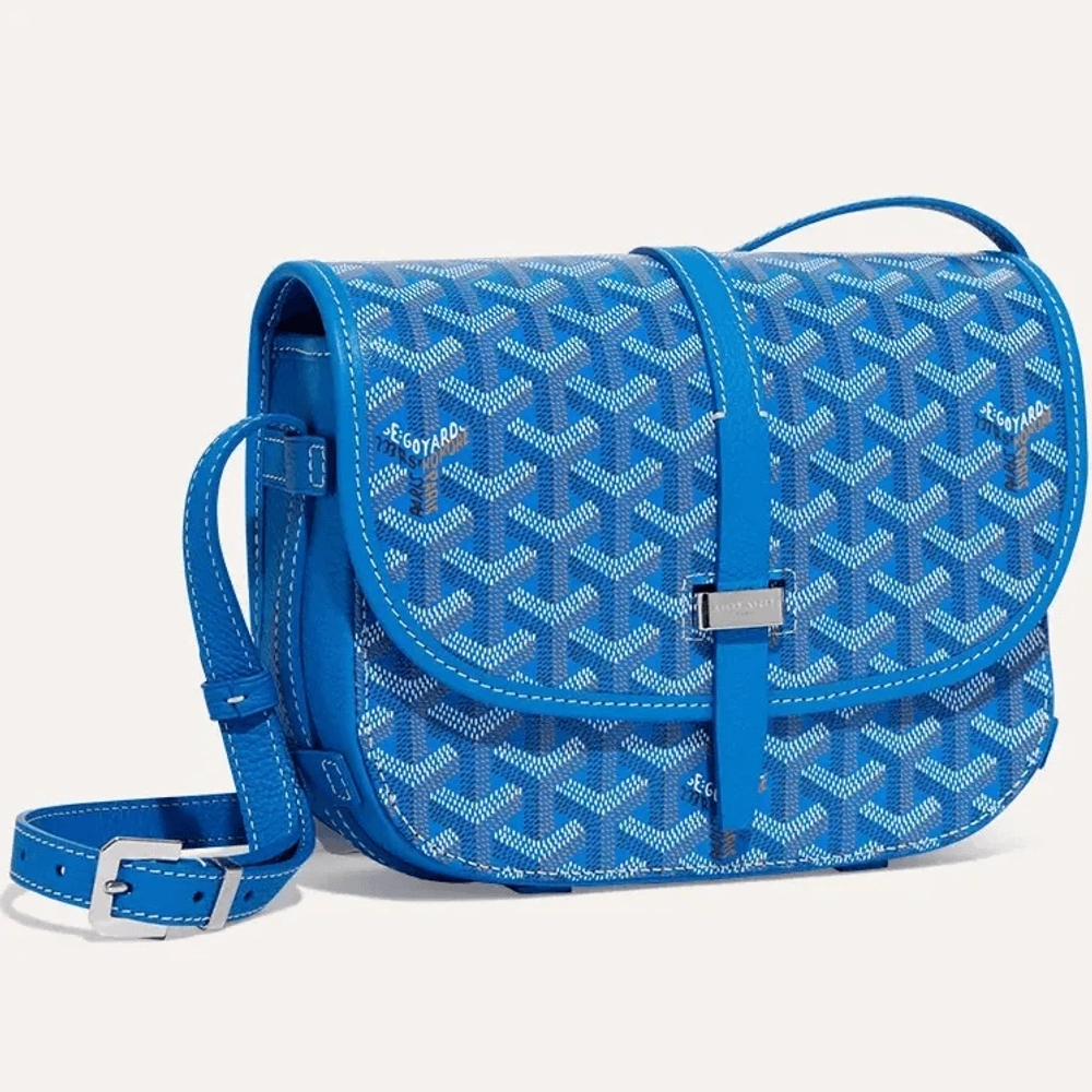 Goyard Belvedere PM Bag 7