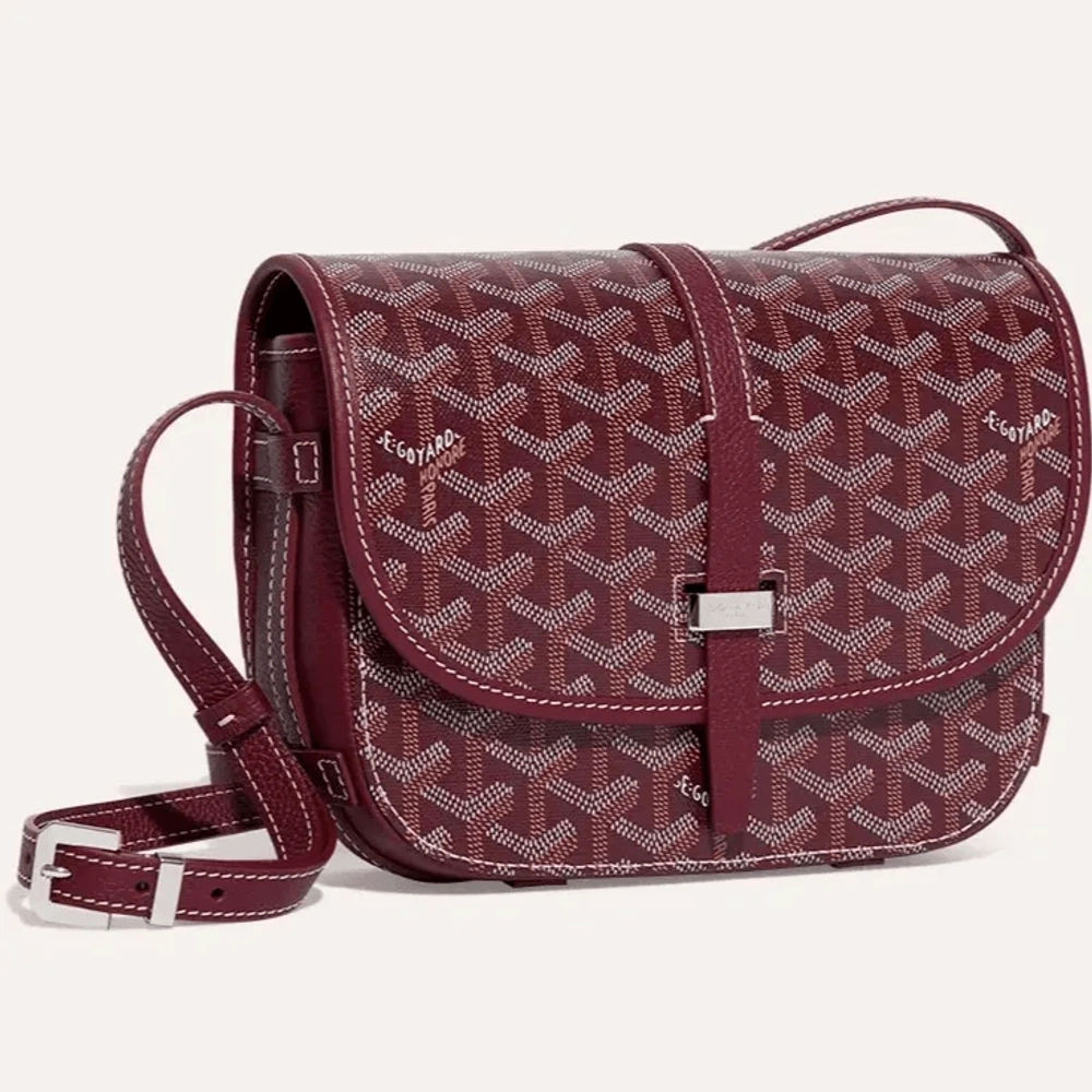 Goyard Belvedere PM Bag 9
