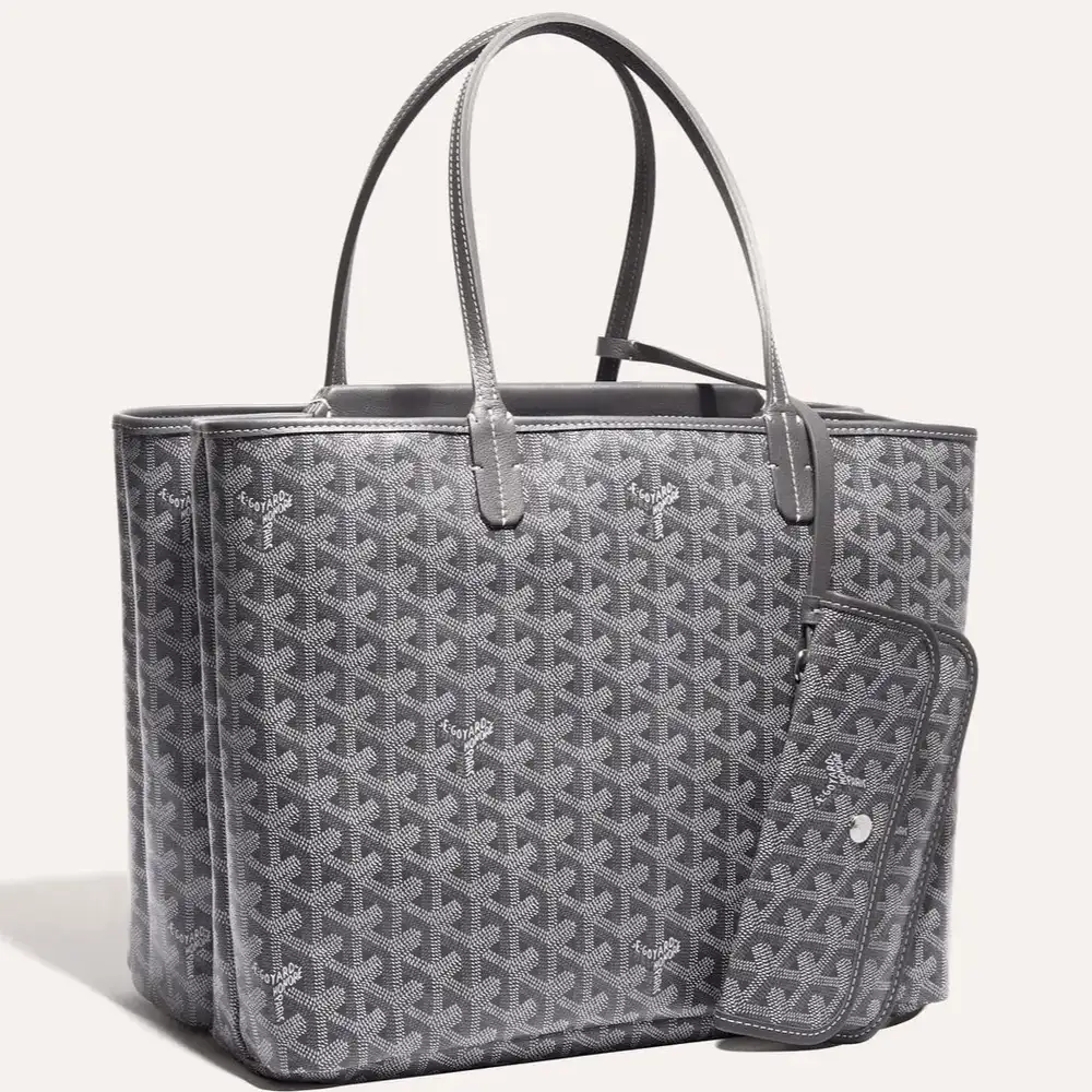 Goyard Isabelle Bag 11