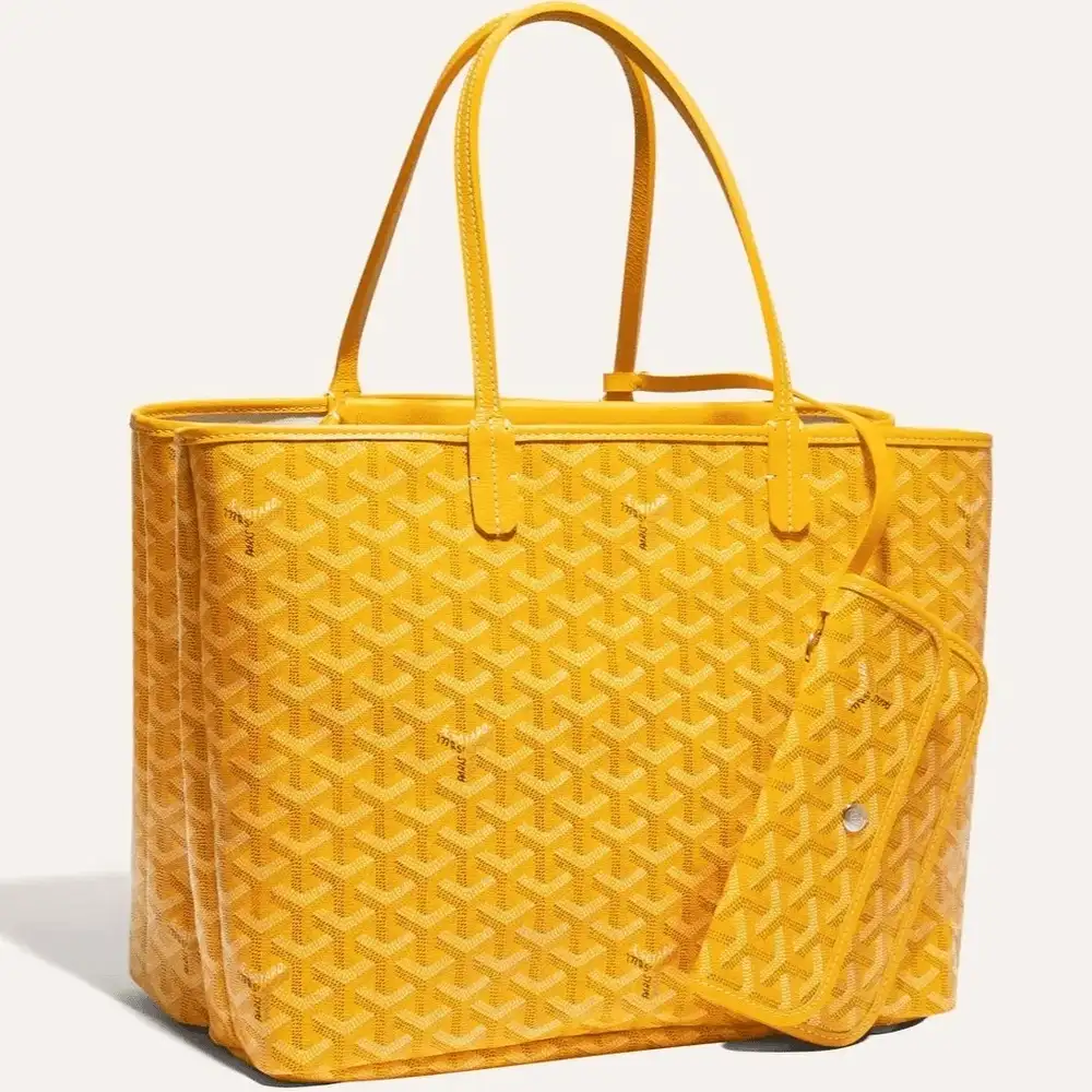 Goyard Isabelle Bag 5
