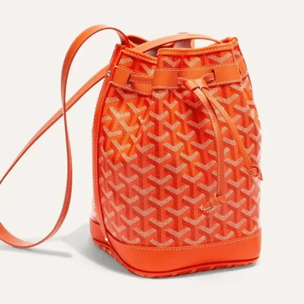Goyard Petite Flot Bag 4