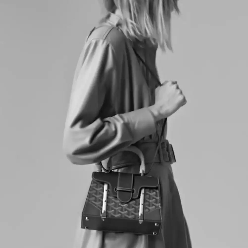 Goyard Saigon Mini Trunk Bag Model shots