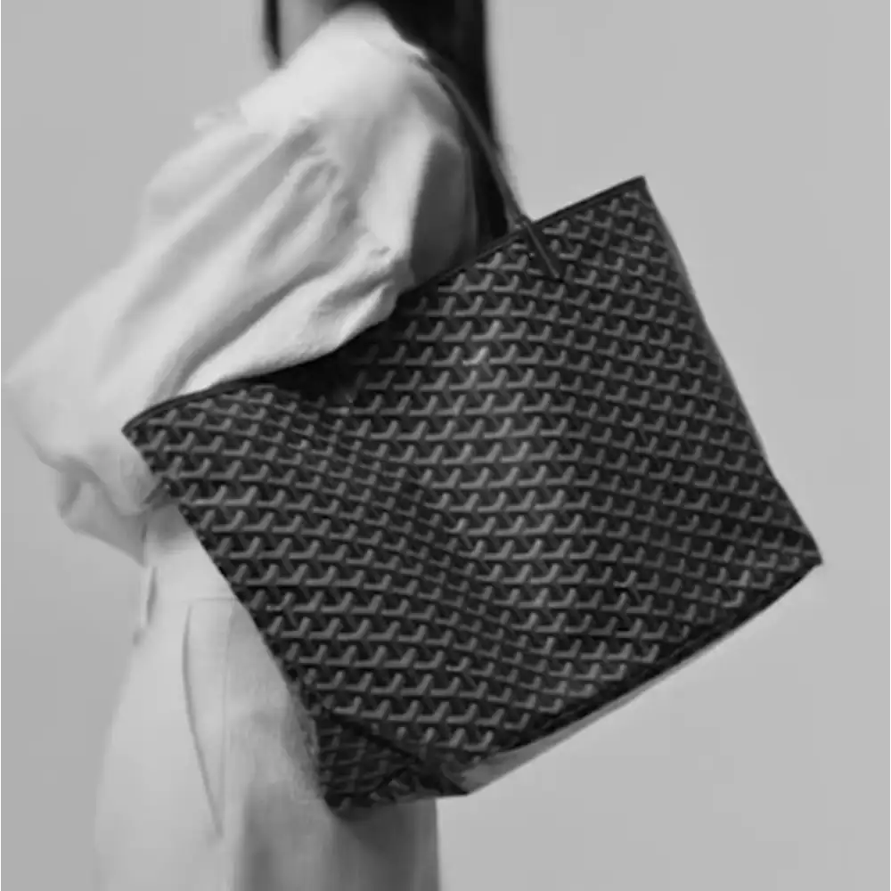 Goyard Saint Louis MM Bag Model shots