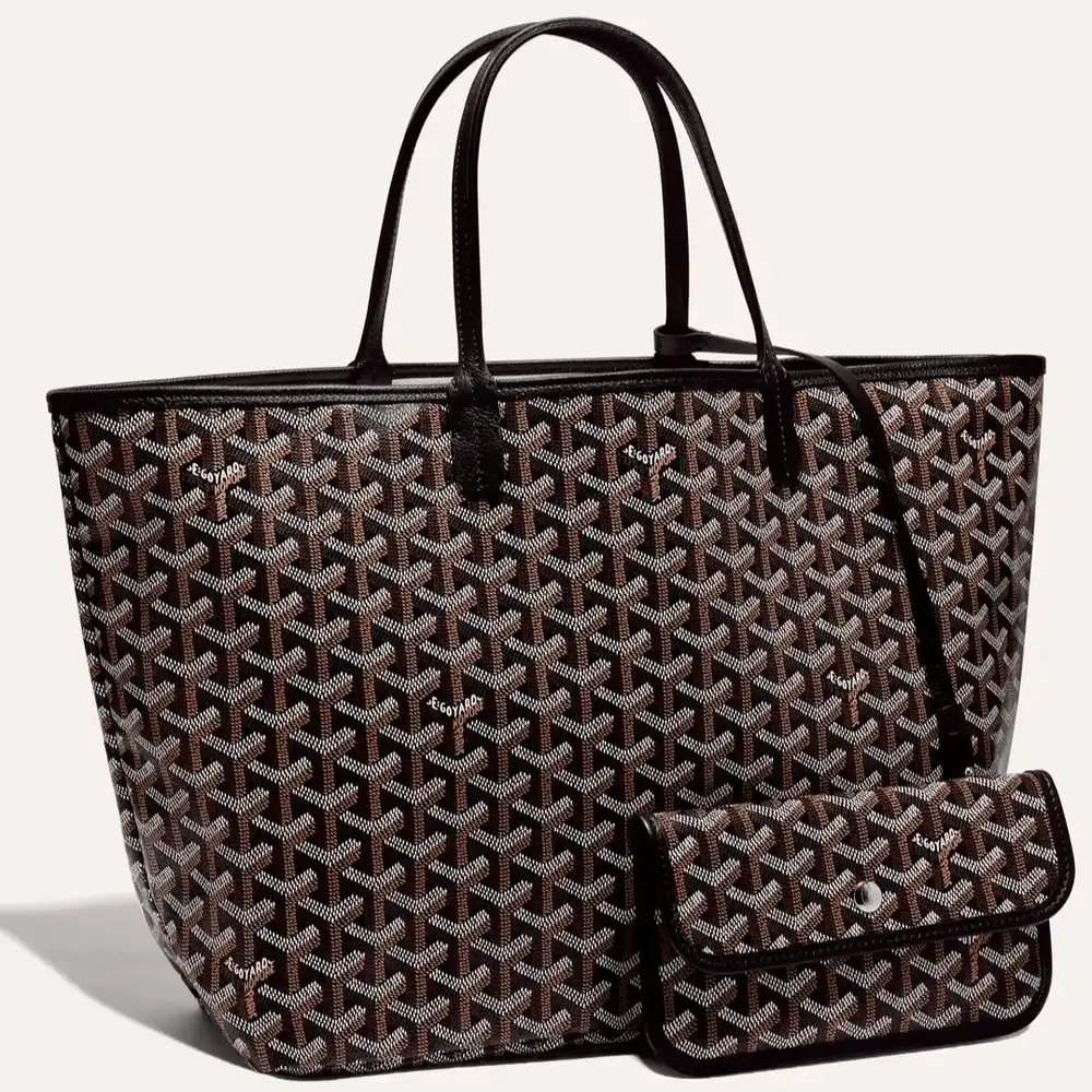Goyard Saint Louis PM Bag 1