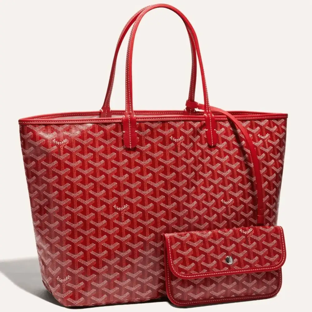 Goyard Saint Louis PM Bag 3