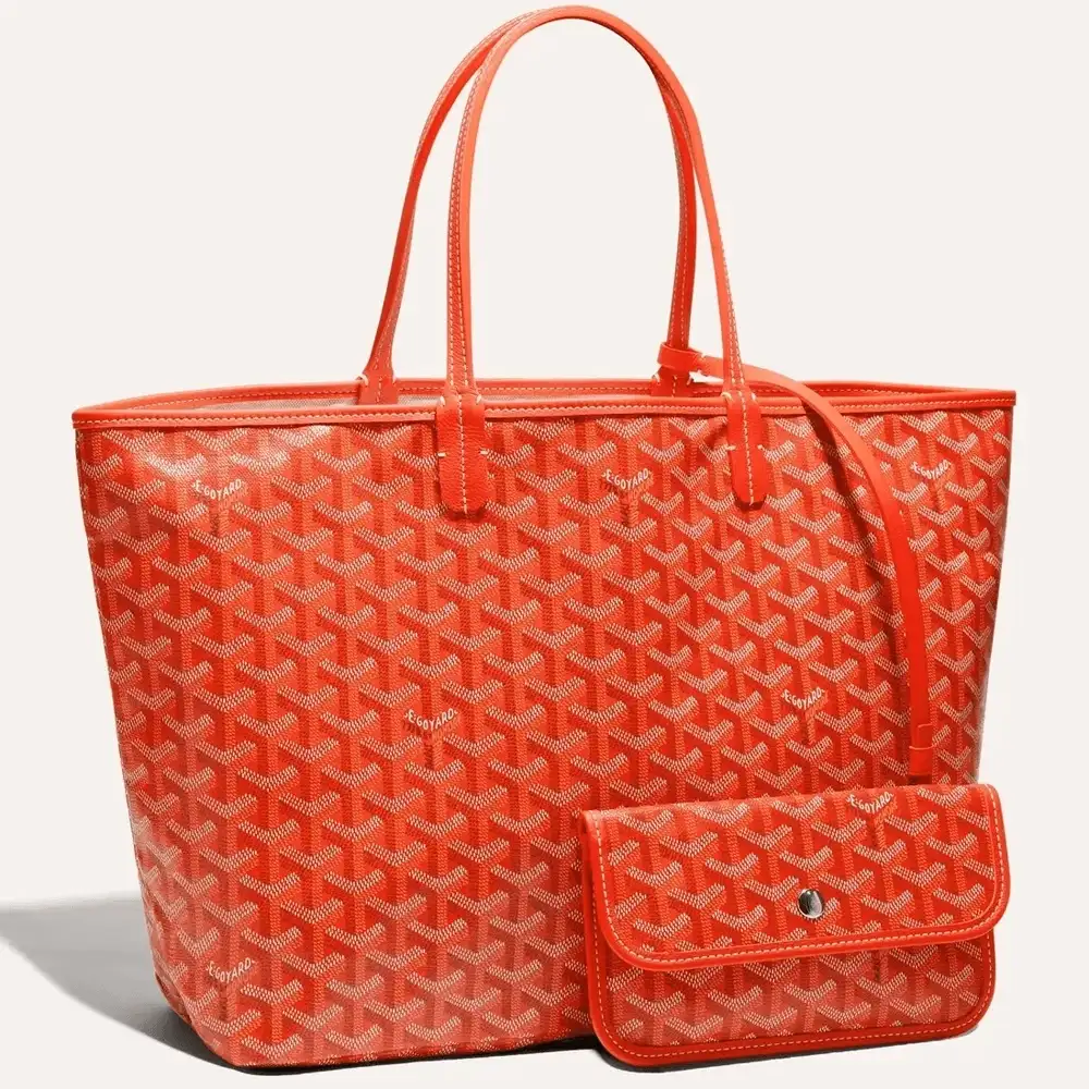 Goyard Saint Louis PM Bag 4