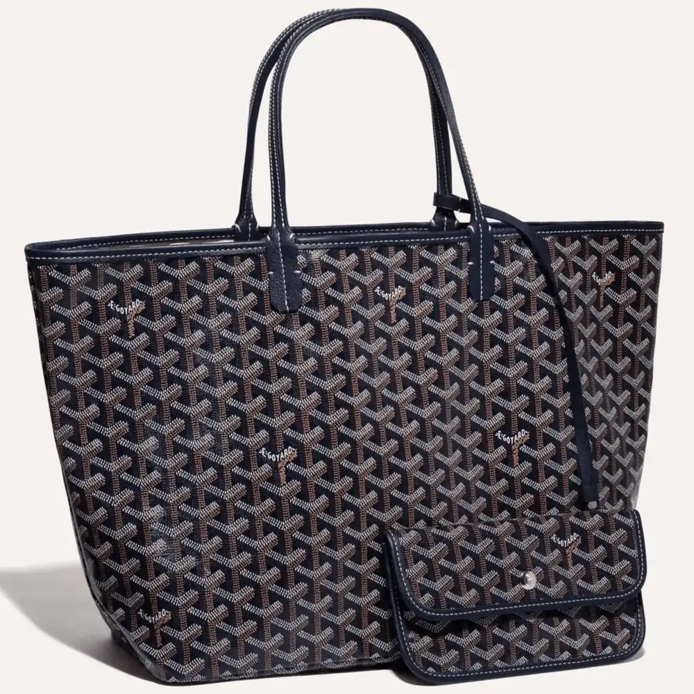 Goyard Saint Louis PM Bag 8