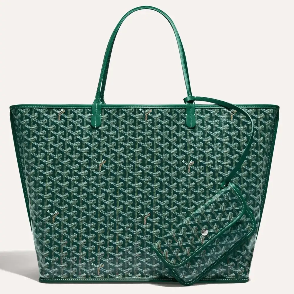 Goyard anjou gm bag 6b