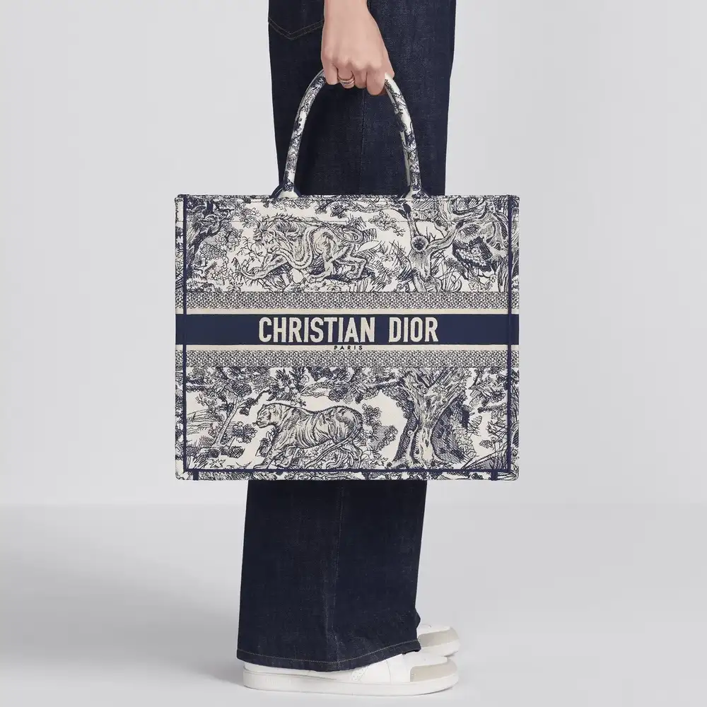 Large Dior Book Tote x Dior Oblique Embroidery Ecru and Blue Model shots 2