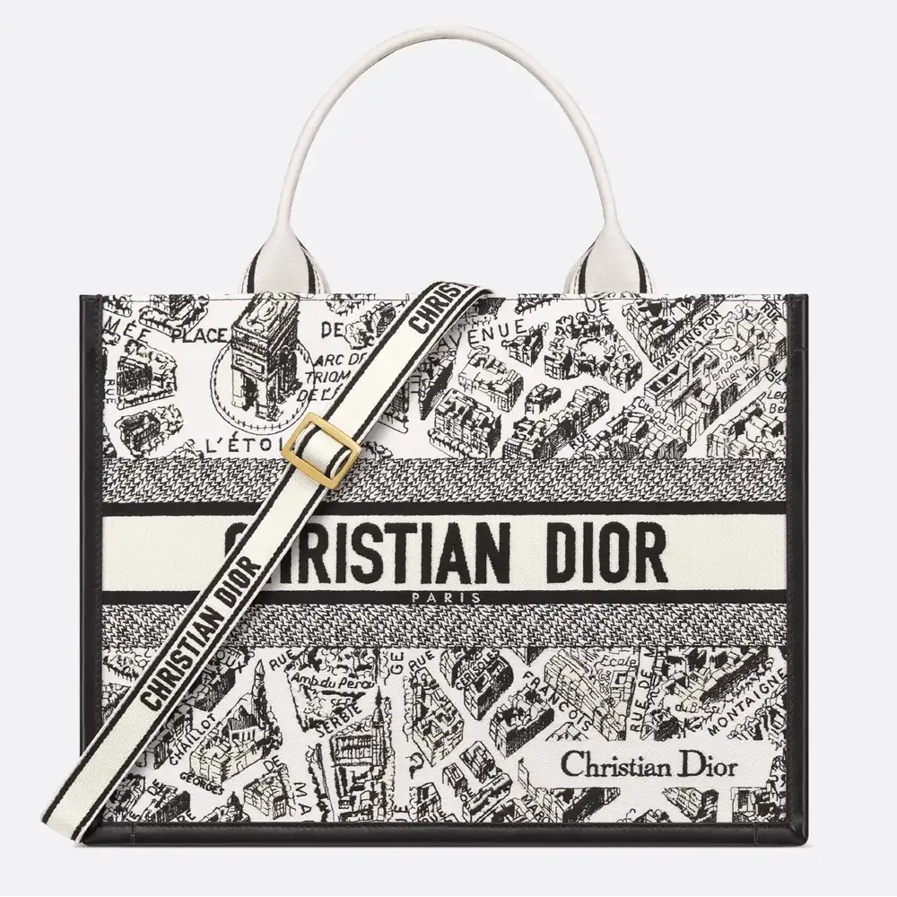 Medium Dior Book Tote Plan de Paris Embroidery with Black Calfskin White and Black