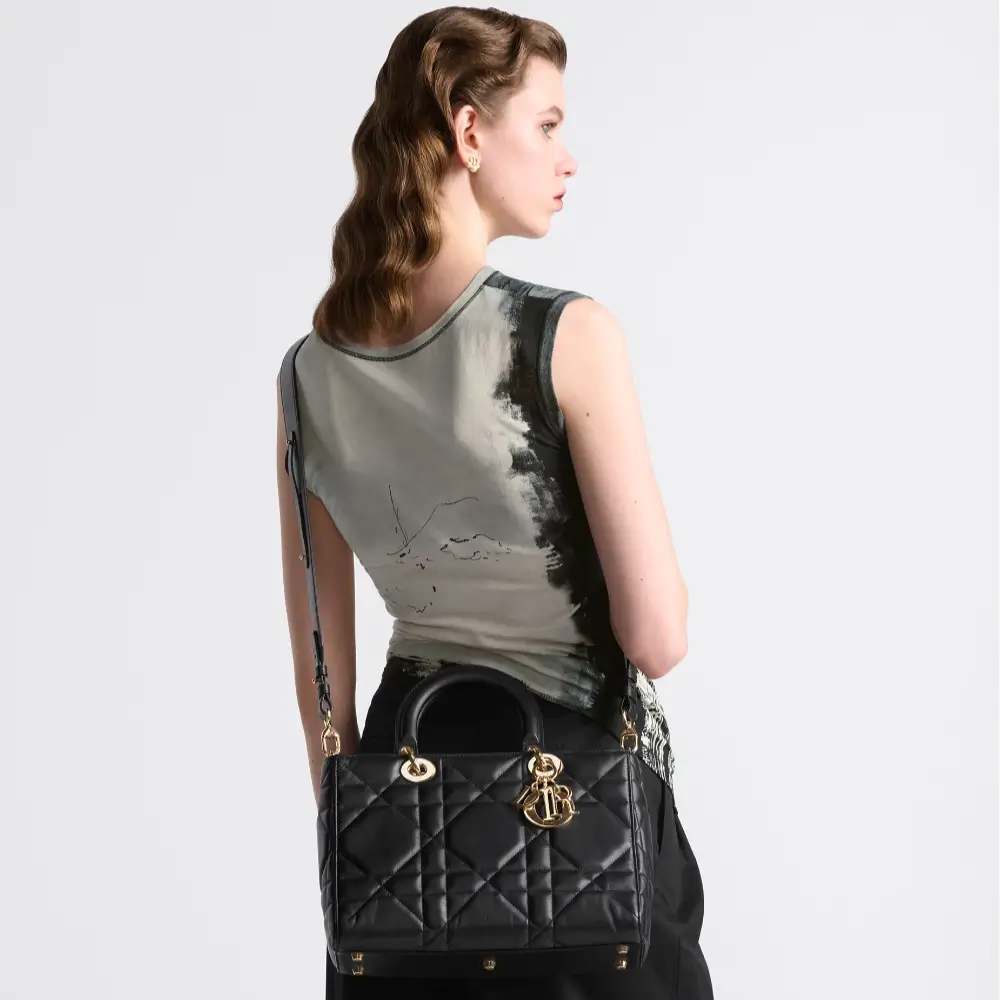 Medium Lady D Sire My ABCDior Bag Model