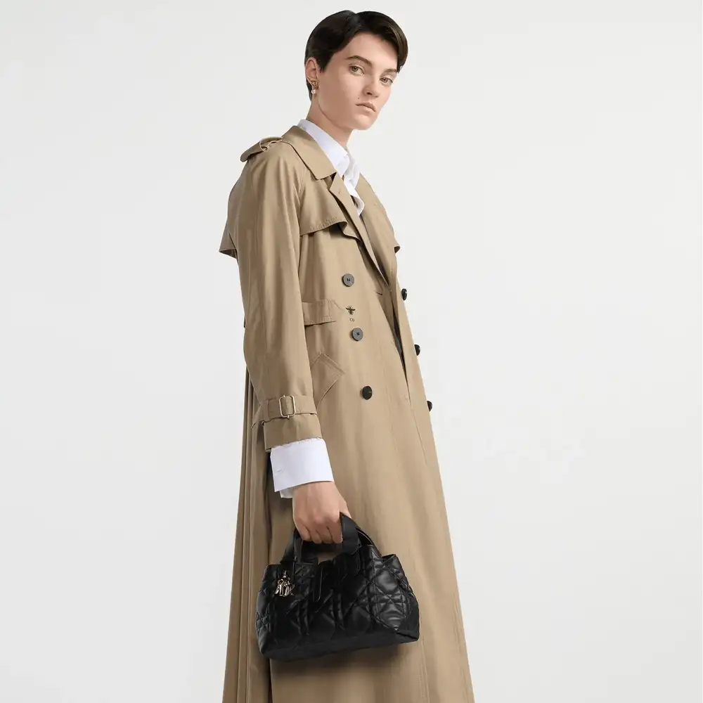 Small Dior Toujours Bag Model 1