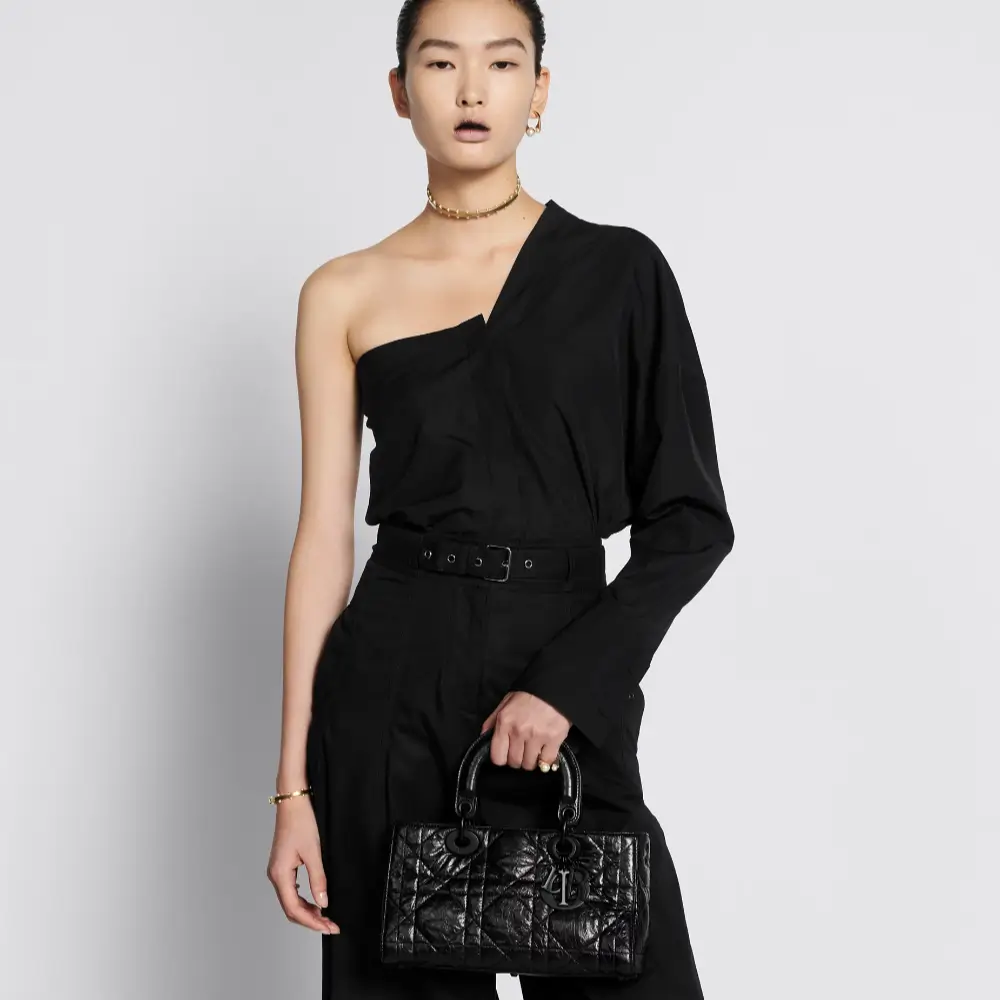 Small Lady D Sire My ABCDior Bag Model