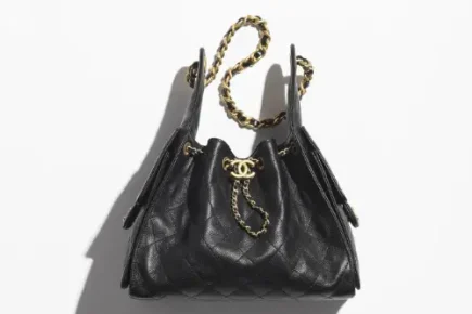 Chanel 25 Bag Featured Image