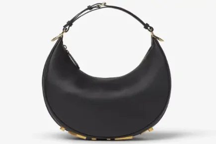 fendigraphy bag featured image