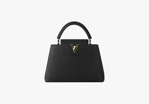 Louis Vuitton Bag Prices Homepage