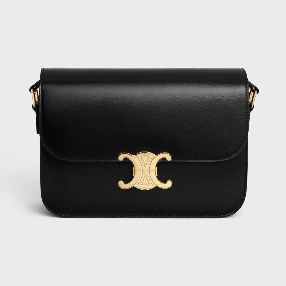 Celine triomphe bag top 10 designer bag
