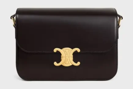 Celine Classique Triomphe Bag Featured image