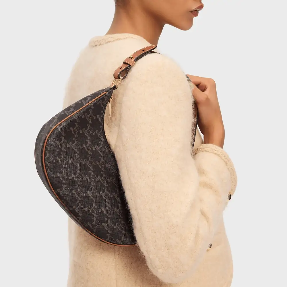 Celine Medium Ava Triomphe Bag In Triomphe Canvas And Calfskin Model shots