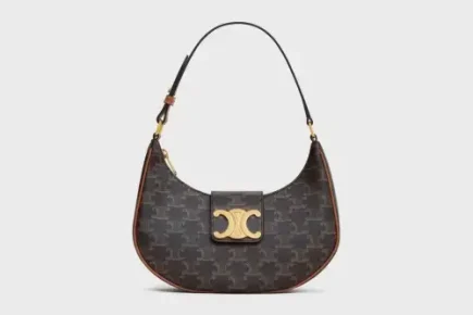 Celine Medium Ava Triomphe Bag In Triomphe Canvas And Calfskin Tan Featured image