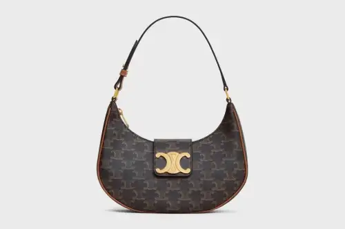 Celine Medium Ava Triomphe Bag In Triomphe Canvas And Calfskin Tan Featured image