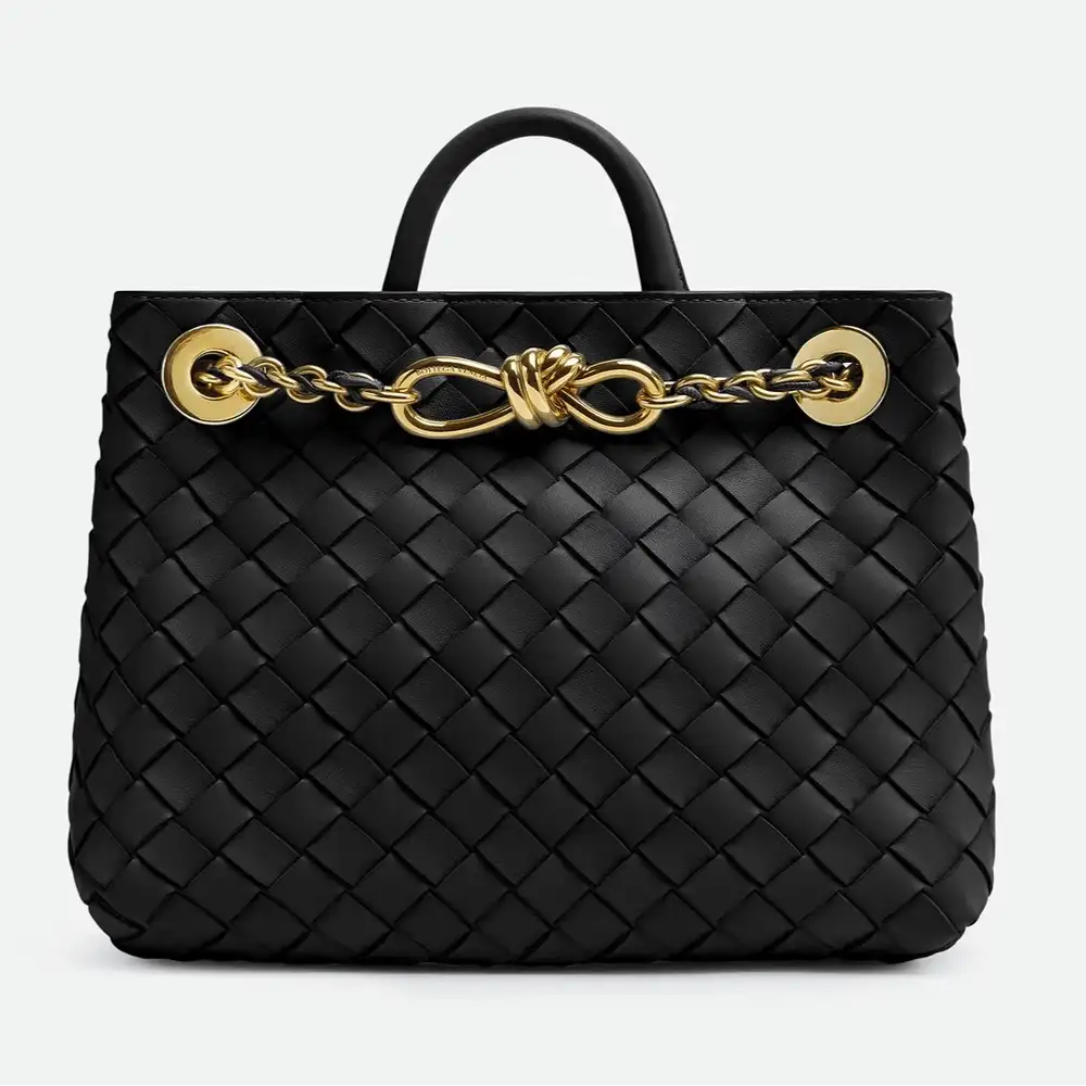 Bottega Veneta Andiamo Chain Small Bag Black