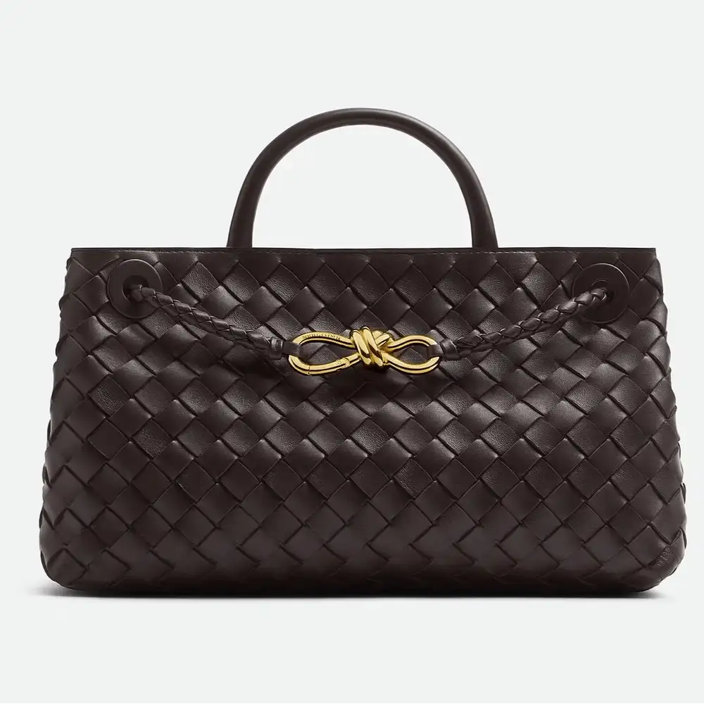 Bottega Veneta Andiamo East West Bag Fondant