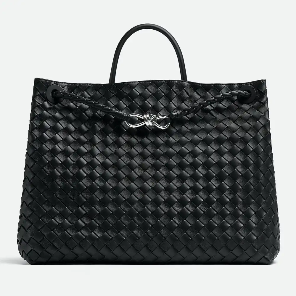 Bottega Veneta Andiamo Large Bag Black 2