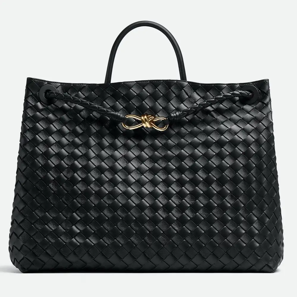 Bottega Veneta Andiamo Large Bag Black