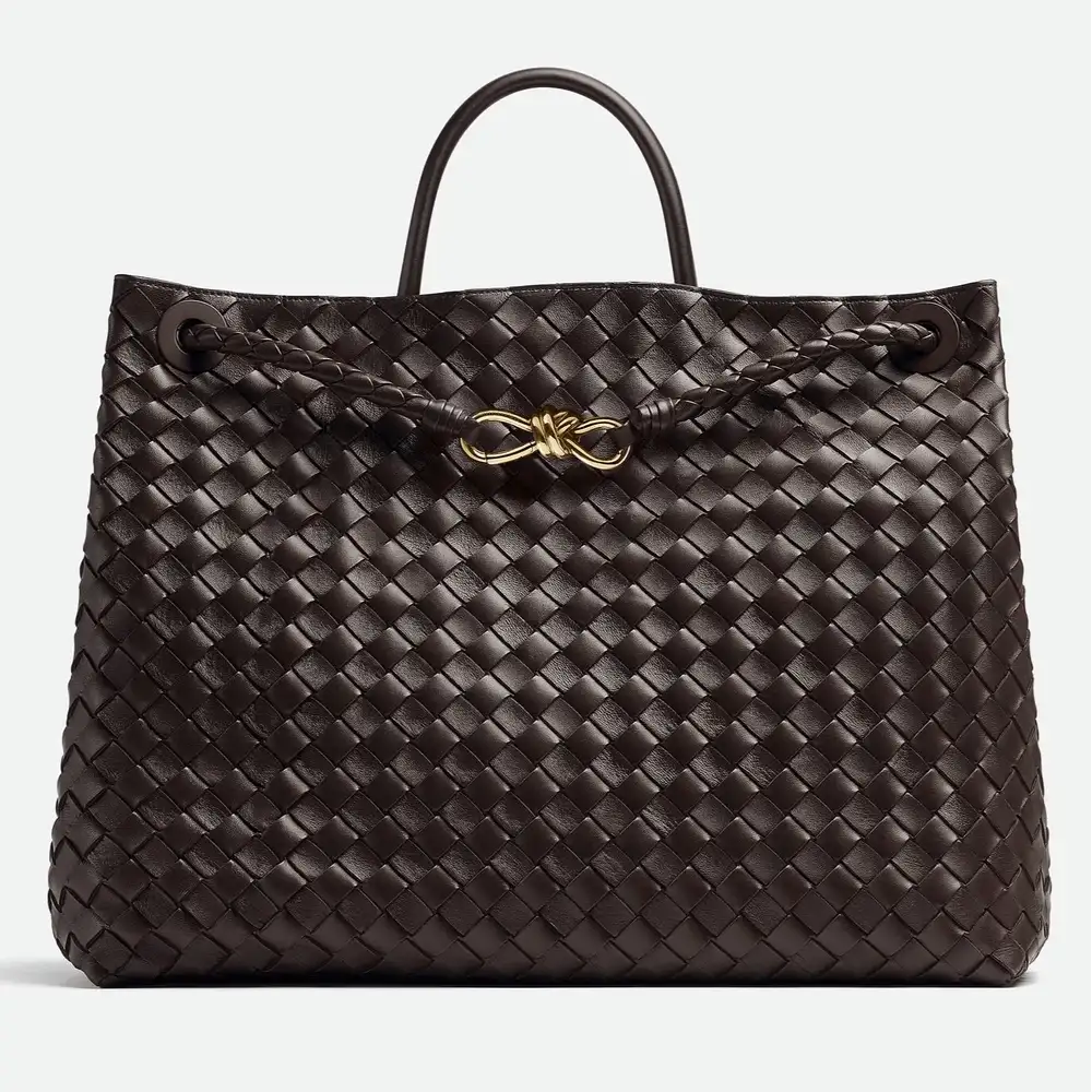 Bottega Veneta Andiamo Large Bag Fondant