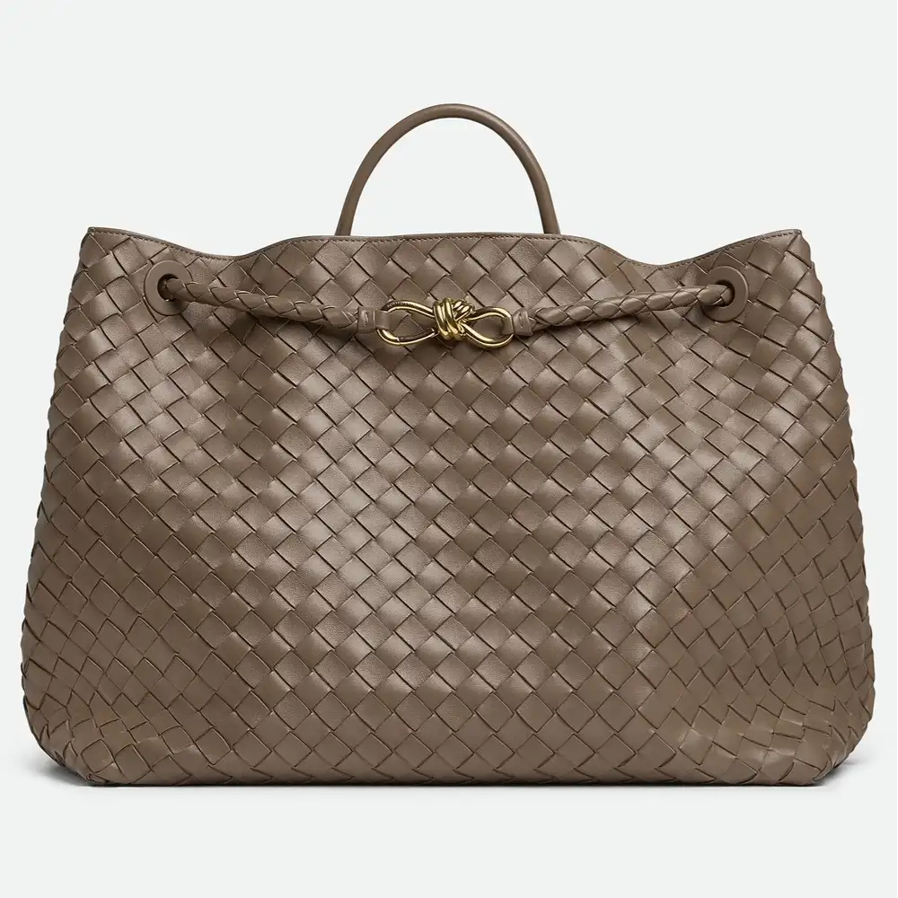Bottega Veneta Andiamo Large Bag Pinecone