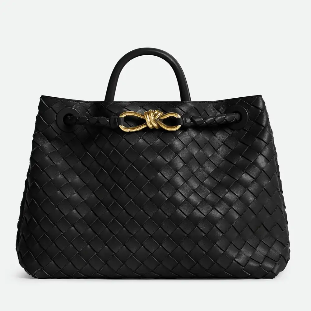 Bottega Veneta Andiamo Medium Bag Black 3