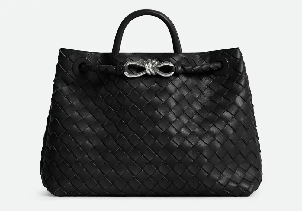 Bottega Veneta Andiamo Medium Bag Black Front image