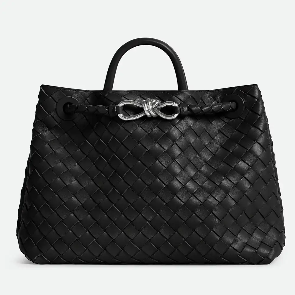 Bottega Veneta Andiamo Medium Bag Black