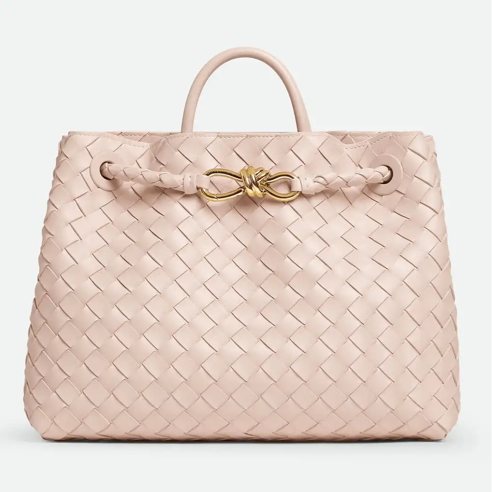 Bottega Veneta Andiamo Medium Bag Cameo