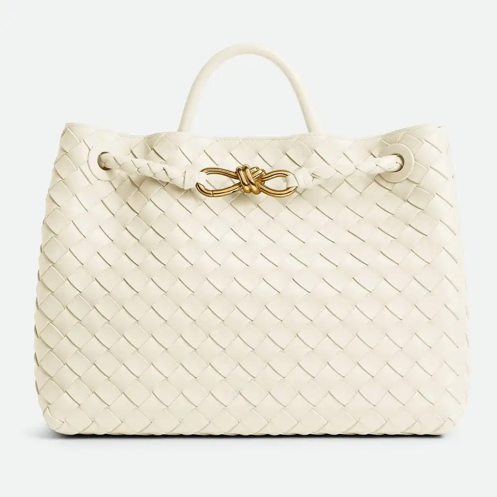 Bottega Veneta Andiamo Medium Bag Sea Salt
