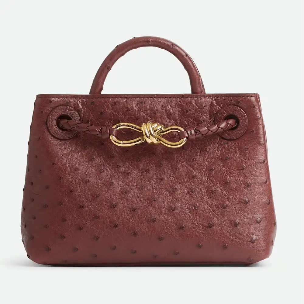 Bottega Veneta Andiamo Mini Bag Sapele