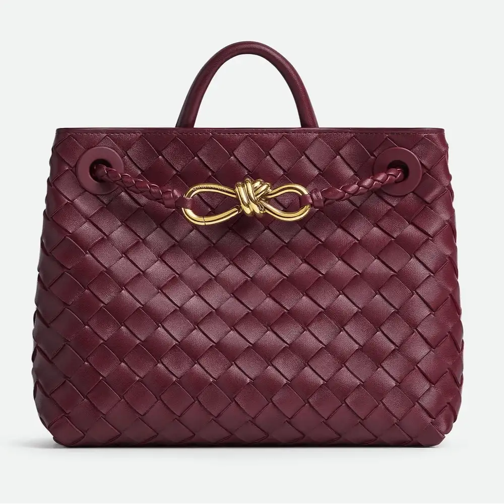 Bottega Veneta Andiamo Small Bag Barolo