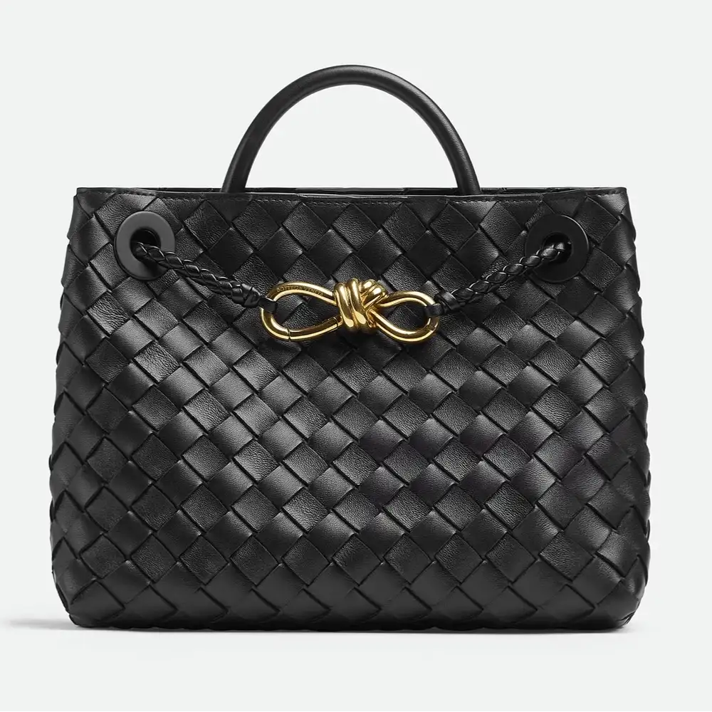 Bottega Veneta Andiamo Small Bag Black 2