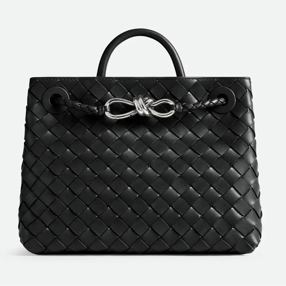 Bottega Veneta Andiamo Small Bag Black