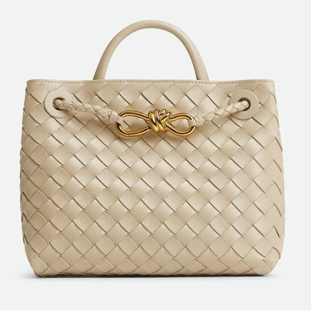 Bottega Veneta Andiamo Small Bag Ercu