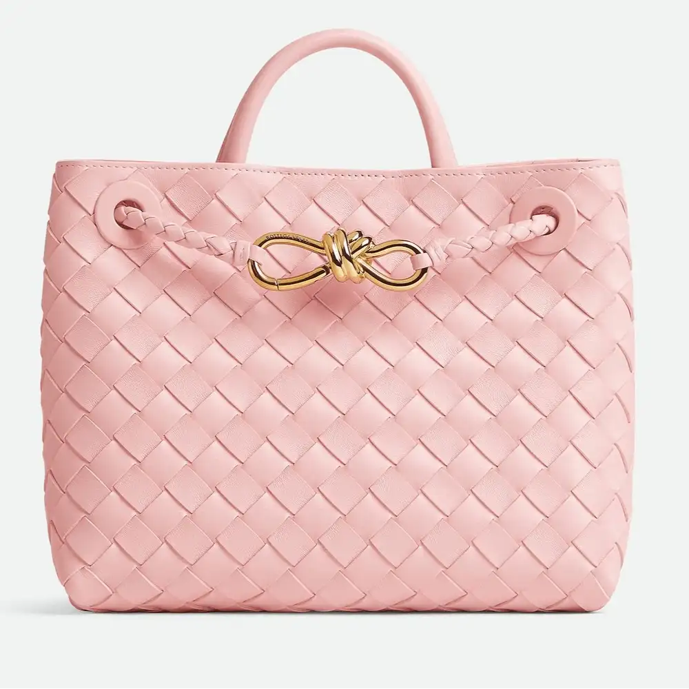 Bottega Veneta Andiamo Small Bag Rose