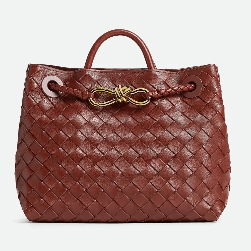 Bottega Veneta Andiamo Small Bag Sapele