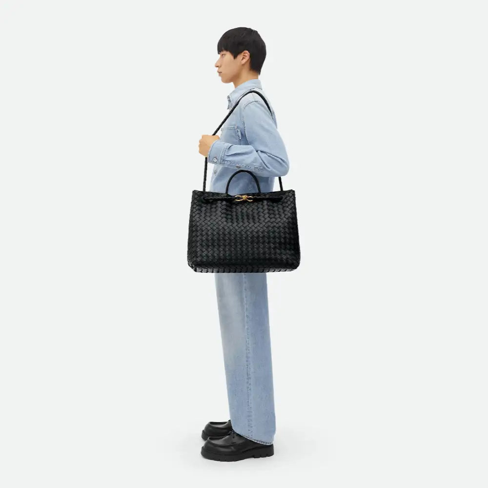 Bottega Veneta Andiamo large bag