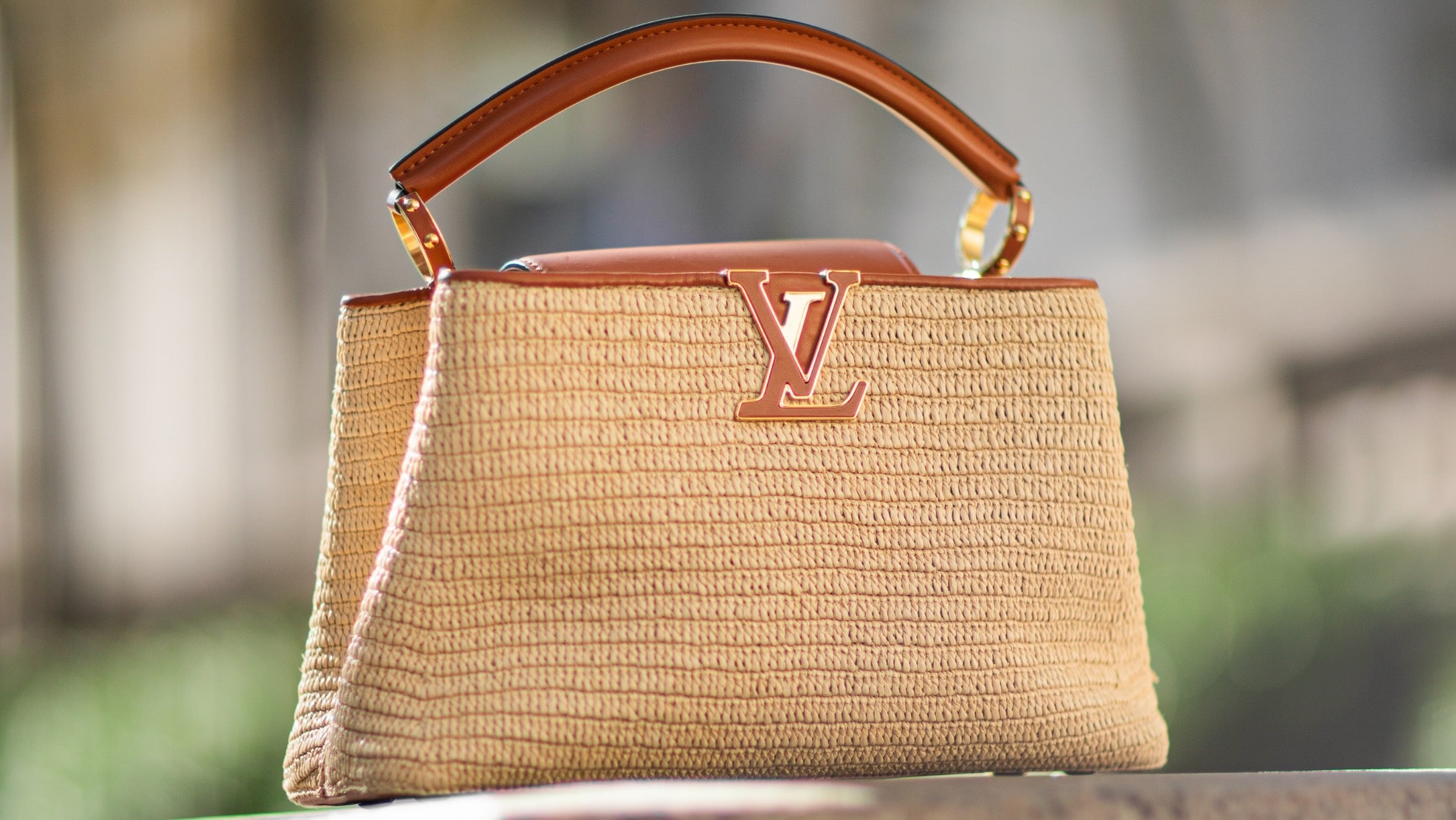 Louis Vuitton limited edition Capucines bag